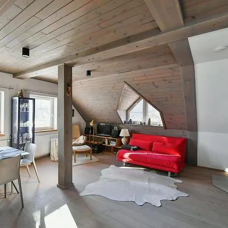 公寓 Dolni Lyseciny By Interhome *