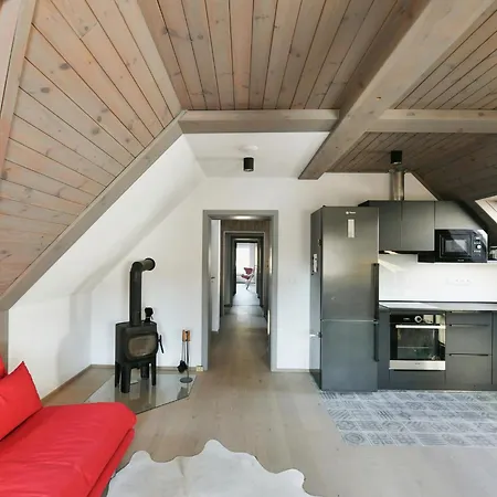 Dolni Lyseciny By Interhome *